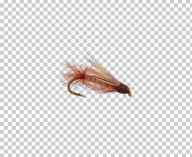 Artificial Fly Caddisfly Pupa Fly Fishing Elk Hair Caddis PNG, Clipart, Artificial Fly, Beetle, Brown, Caddisfly, Card Free PNG Download