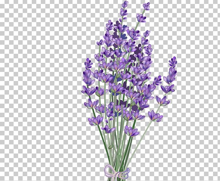 Lavender Flower PNG, Clipart, Art, Art Blog, Clip Art, Color, Cut Flowers Free PNG Download