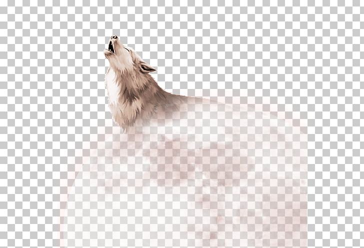 Pomeranian PNG, Clipart, Animals, Black And White, Carnivoran, Cartoon, Cartoon Exquisite Free PNG Download