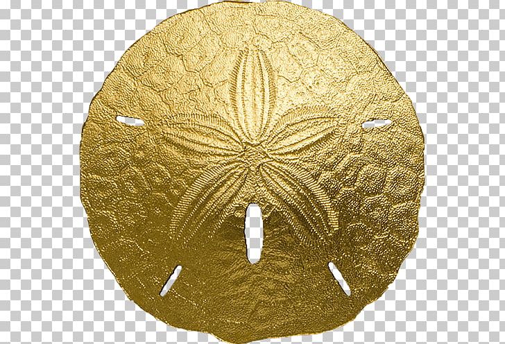 Sea Urchin Sand Dollar Dollar Coin Gold Coin PNG, Clipart, Artifact, Australian One Dollar Coin, Circle, Coin, Dollar Coin Free PNG Download