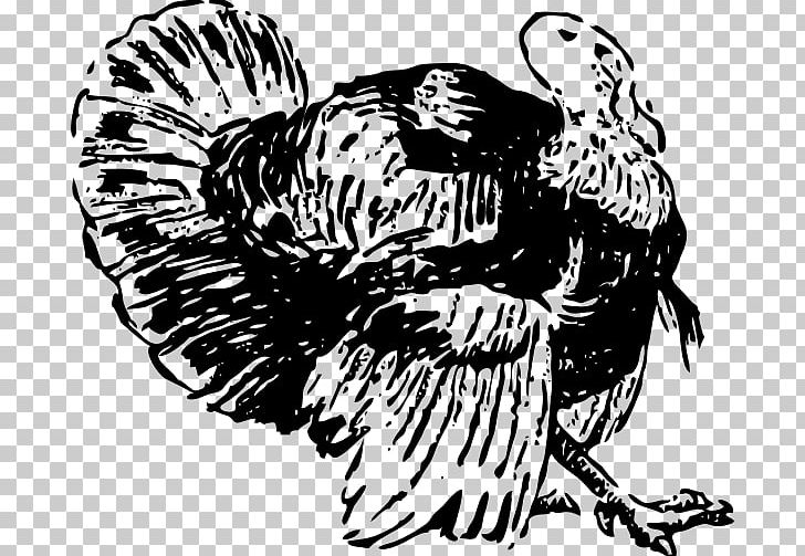 Chicken Turkey Drawing PNG, Clipart, Animals, Art, Beak, Bird, Bird Of Prey Free PNG Download