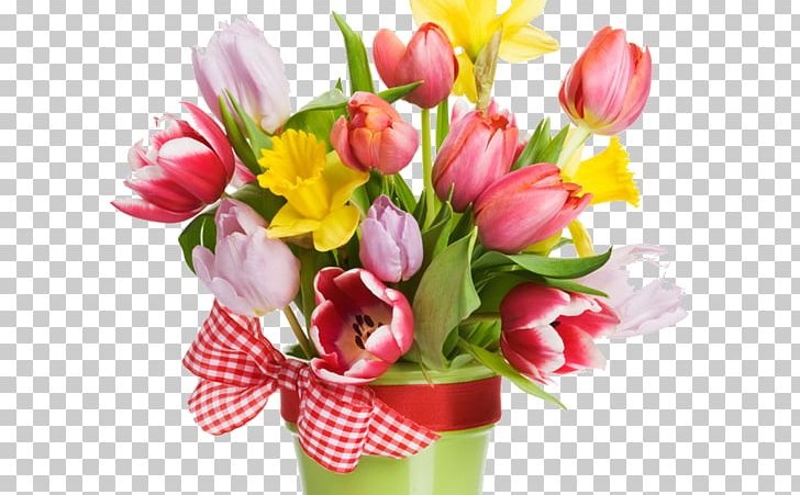 Stock Photography Tulip Flower PNG, Clipart, Cut Flowers, Daffodil, Floral Design, Floristry, Flower Free PNG Download