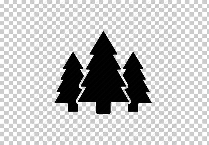 U.S. National Whitewater Center Pinus Contorta Tree Computer Icons Park PNG, Clipart, Angle, Black And White, Brand, Computer Icons, Fir Free PNG Download