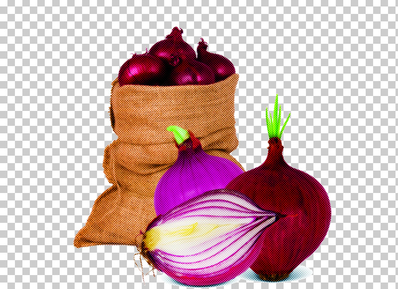 Vegetable Onion Plant Red Onion Food PNG, Clipart, Allium, Amaryllis Family, Food, Magenta, Onion Free PNG Download