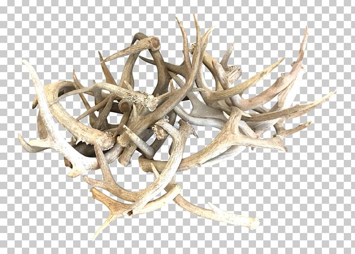 Antler Reindeer Horn Craft PNG, Clipart, Animals, Antler, Arcade, Bars, Craft Free PNG Download