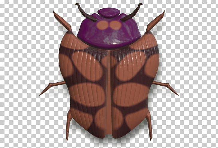 Beetle Insect Wing Arthropod Hornet PNG, Clipart, Animal, Animals, Arthropod, Beetle, Hornet Free PNG Download