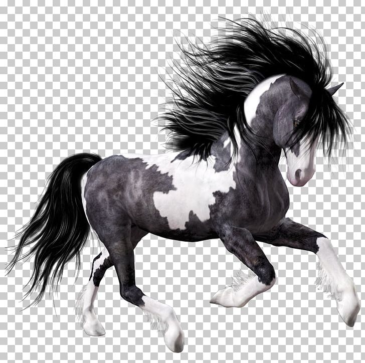 Mustang Foal Black PNG, Clipart, Animal, Animals, Black And White, Bridle, Dark Free PNG Download
