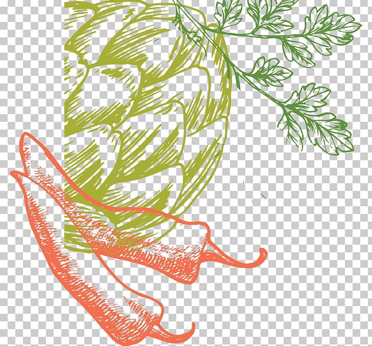 Organic Food Choctaw Fresh Produce Floral Design Leaf Vegetable Philadelphia PNG, Clipart, Art, Branch, Cabbages, Cultivation Culture, Drawing Free PNG Download