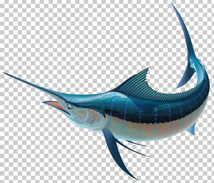 Swordfish Recreational Fishing Sailfish PNG, Clipart, Atlantic Bluefin Tuna, Billfish, Bony Fish, Cartilaginous Fish, Clip Free PNG Download