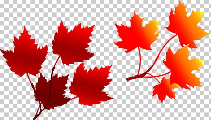 Autumn Deciduous Leaf Illustration PNG, Clipart, Adobe Illustrator, Akiba, Animation, Autumn, Autumn Leaf Free PNG Download