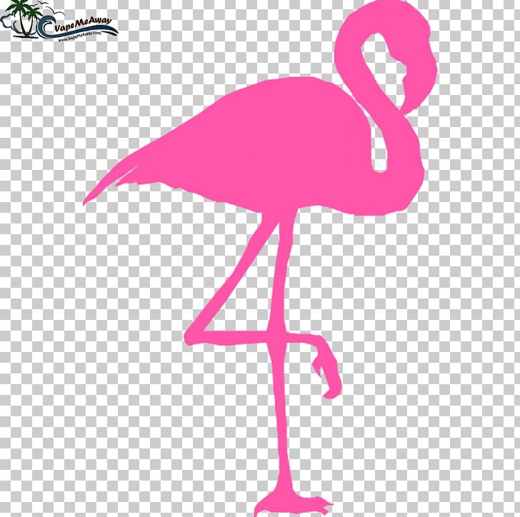 Flamingo Pink PNG, Clipart, Animals, Beak, Bird, Cartoon, Clip Art Free PNG Download