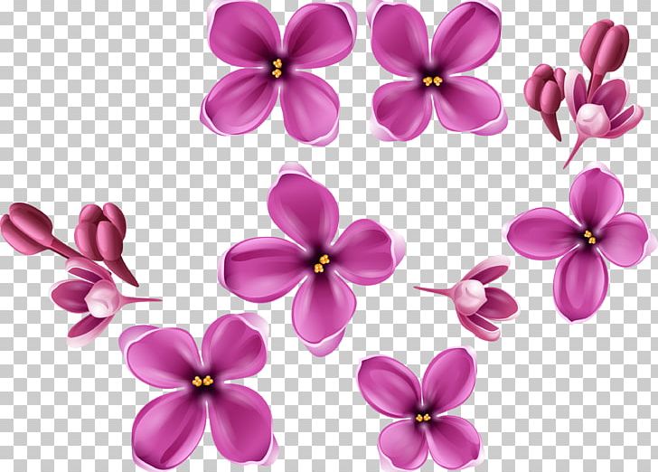 Flowering Plant PNG, Clipart, Computer Graphics, Computer Icons, Cut Flowers, Download, Flower Free PNG Download
