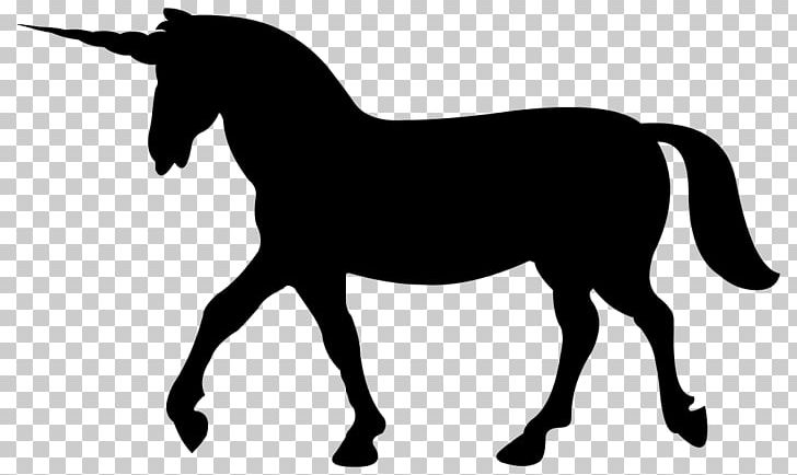Horse PNG, Clipart, Black And White, Bridle, Colt, Download, Encapsulated Postscript Free PNG Download