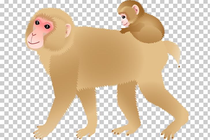 Lion Cercopithecidae Old World Cat Illustration PNG, Clipart, Animal, Animals, Big Cat, Big Cats, Black Monkey Free PNG Download