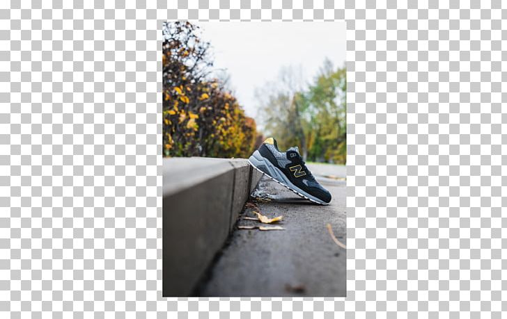 Tree Angle PNG, Clipart, Angle, Asphalt, Grass, Nature, Outdoor Shoe Free PNG Download