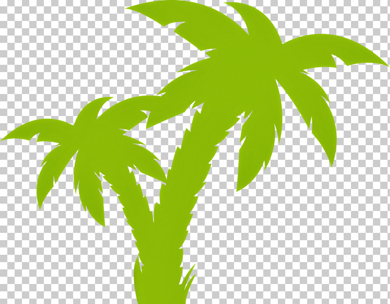 Palm Trees PNG, Clipart, Biology, Branch, Leaf, Line, Meter Free PNG Download