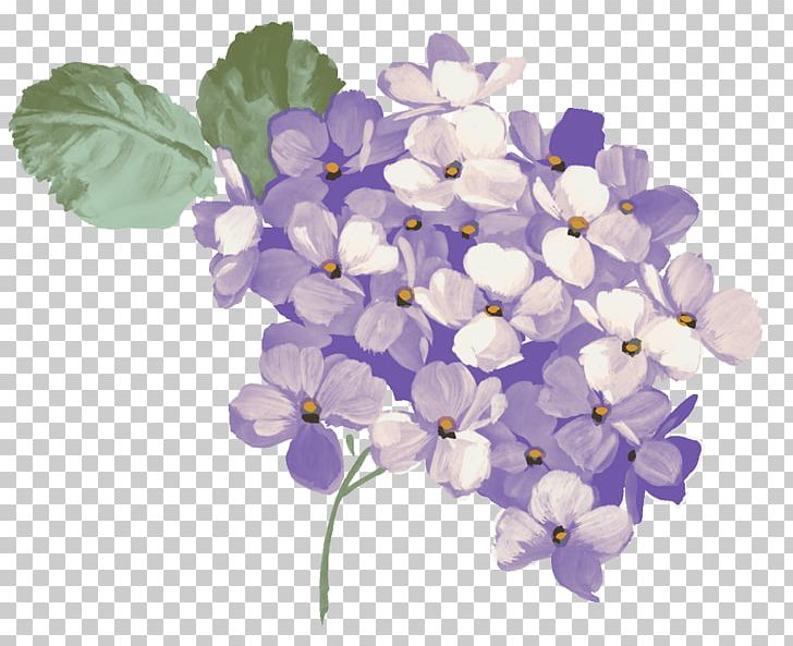 French Hydrangea Open Graphics PNG, Clipart, Cornales, Crape Myrtle, Cut Flowers, Flower, Flowering Plant Free PNG Download