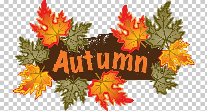 Autumn Leaf Color PNG, Clipart, Autumn, Autumn Cliparts, Autumn Leaf Color, Blog, Download Free PNG Download