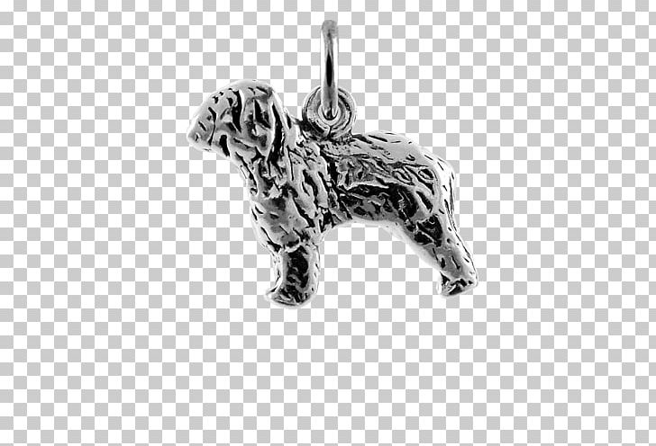 Dog Breed Charms & Pendants Body Jewellery Silver PNG, Clipart, Black And White, Body Jewellery, Body Jewelry, Breed, Carnivoran Free PNG Download