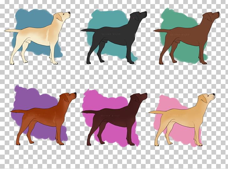 Dog Breed Labrador Retriever American Pit Bull Terrier Rottweiler Sporting Group PNG, Clipart, American Pit Bull Terrier, Animals, Art, Breed, Carnivoran Free PNG Download