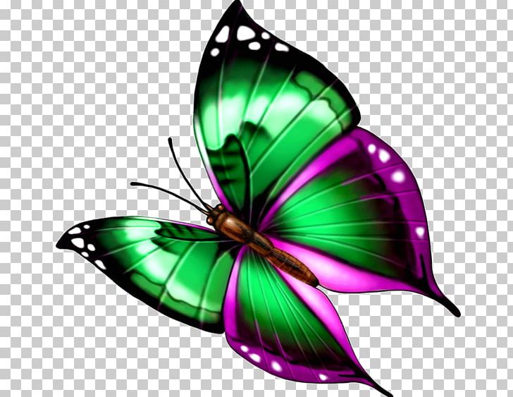 Monarch Butterfly Green PNG, Clipart, Background Green, Beautiful, Brush Footed Butterfly, Butterflies And Moths, Butterfly Free PNG Download