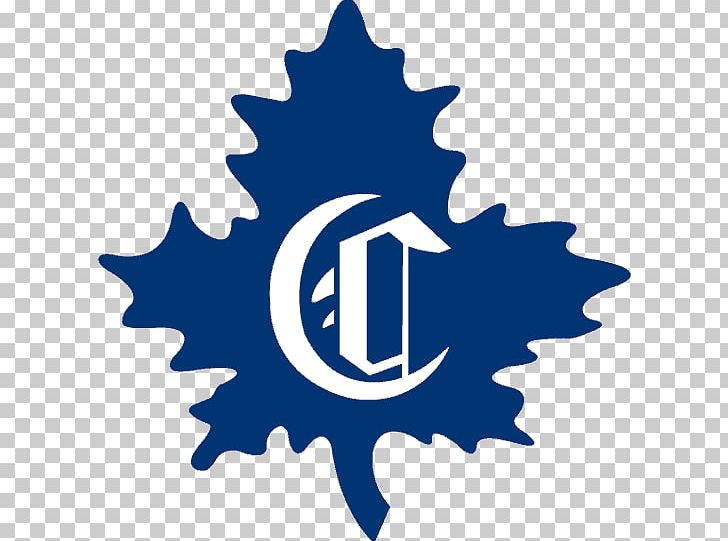 Montreal Canadiens National Hockey League Montreal Maroons Toronto Maple Leafs Montreal Wanderers PNG, Clipart, Decal, Hockey, Hockey Logo, Hockey Puck, Ice Hockey Free PNG Download