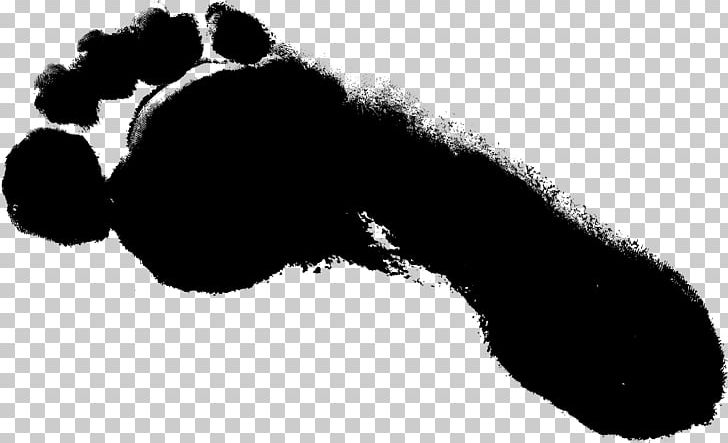 Footprint PNG, Clipart, Black, Black And White, Carnivoran, Computer Icons, Dog Like Mammal Free PNG Download