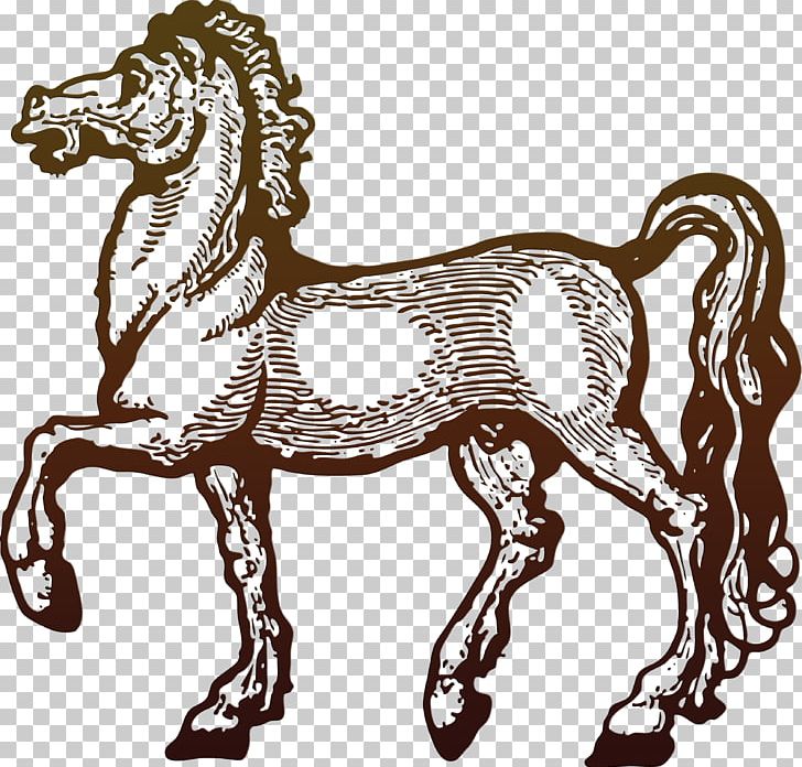 Horse Pony PNG, Clipart, Animals, Archive File, Art, Bit, Black And White Free PNG Download