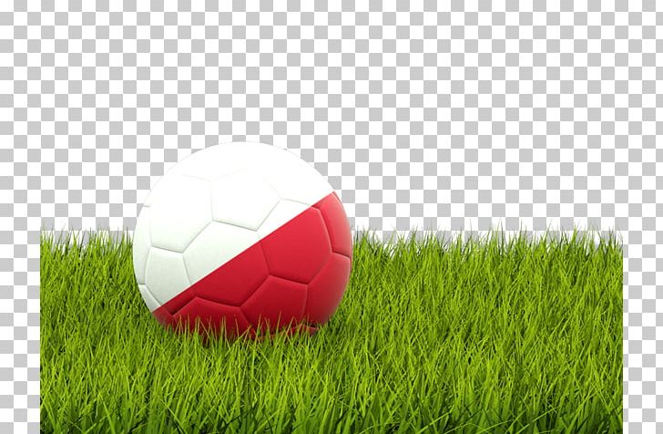 Spain National Football Team English Football League Albania National Football Team Spain National Under-19 Football Team PNG, Clipart, Artificial Turf, Ball, Computer Wallpaper, English Football League, Field Free PNG Download