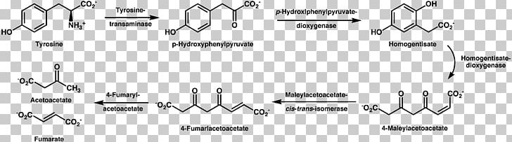 Tyrosine 4-Hydroxyphenylpyruvic Acid Amino Acid Small Molecule PNG, Clipart, Acid, Amino Acid, Angle, Aromatic Amino Acid, Citric Acid Cycle Free PNG Download