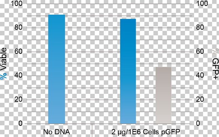 Cell Neuron Protein Production MaxCyte PNG, Clipart, Angle, Area, Assay, Blue, Cell Free PNG Download