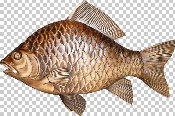 brown fish clip art