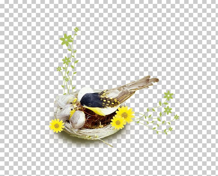 Poster Drawing PNG, Clipart, Animals, Bird, Bird Nest, Bird Nest Vector, Birds Nest Free PNG Download