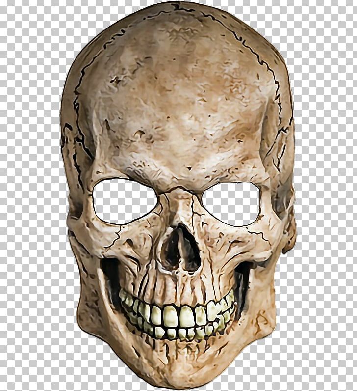 Skull Human Skeleton PNG, Clipart, Apple Color Emoji, Avatan Plus, Bone, Computer Icons, Desktop Wallpaper Free PNG Download