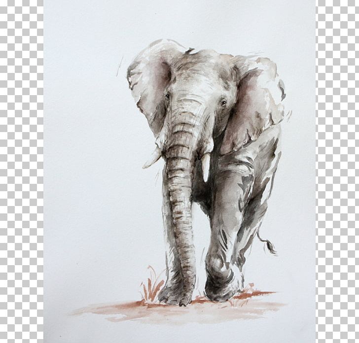 Indian Elephant African Elephant Drawing Wildlife PNG, Clipart, African Elephant, Animal, Drawing, Elephant, Elephantidae Free PNG Download