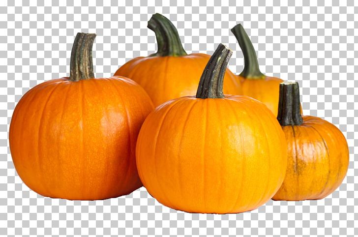 Pumpkin Pie Autumn Vegetable Jack-o'-lantern PNG, Clipart, Auglis, Autumn, Calabaza, Cucumber Gourd And Melon Family, Cucurbita Free PNG Download