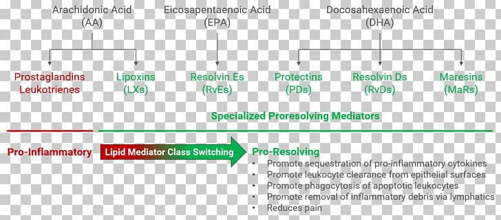 Thetis Pharmaceuticals LLC Biology Immunoglobulin Class Switching Business Park Drive Lipid PNG, Clipart, Angle, Area, Biology, Branford, Business Park Drive Free PNG Download