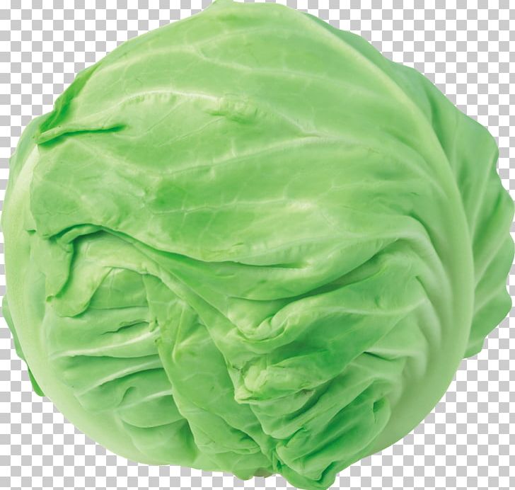 Chinese Cabbage Red Cabbage Napa Cabbage PNG, Clipart, Bok Choy, Cabbage, Cauliflower, Chinese Cabbage, Collard Greens Free PNG Download