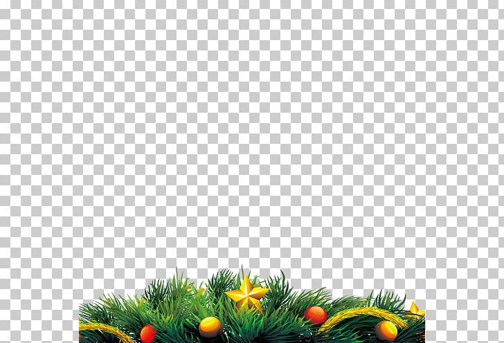 Christmas PNG, Clipart, Christmas, Christmas Decoration, Christmas Frame, Christmas Lights, Christmas Vector Free PNG Download