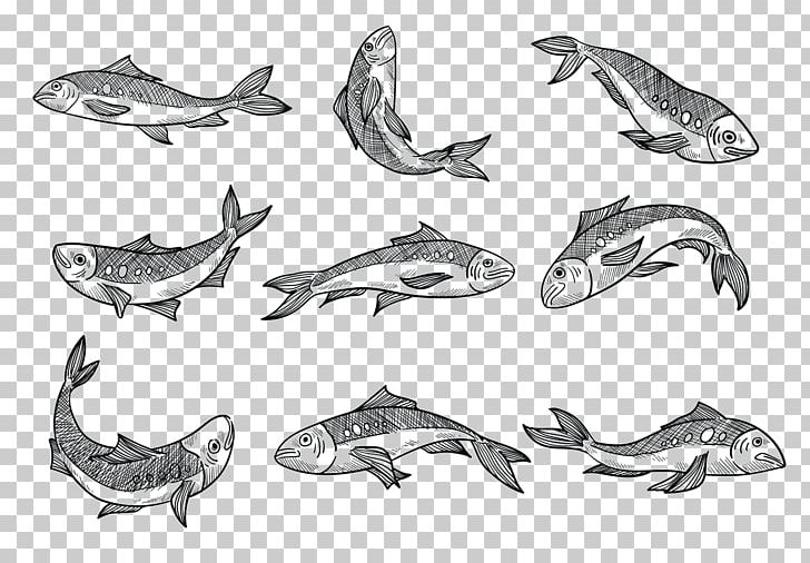Sardine Sketch Drawing Graphics PNG, Clipart, Anchovy, Animal Figure, Animals, Artwork, Automotive Design Free PNG Download