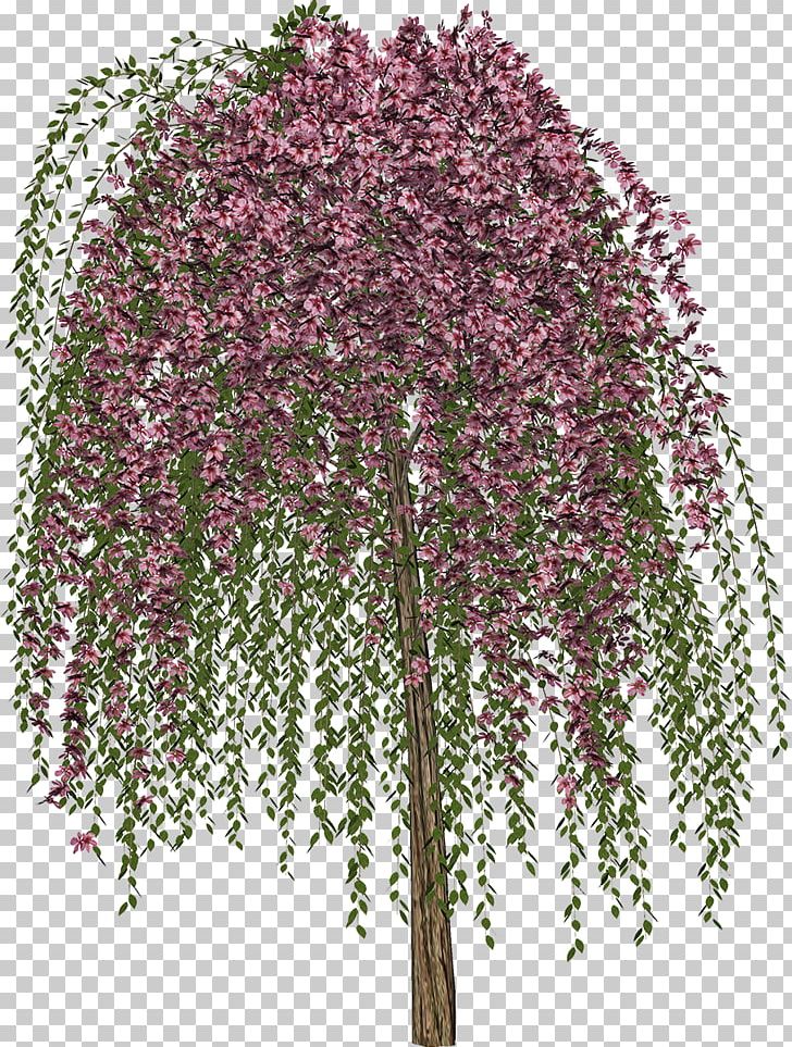Tree Drawing PNG, Clipart, Branch, Drawing, Floral Design, Flower, Flowering Plant Free PNG Download