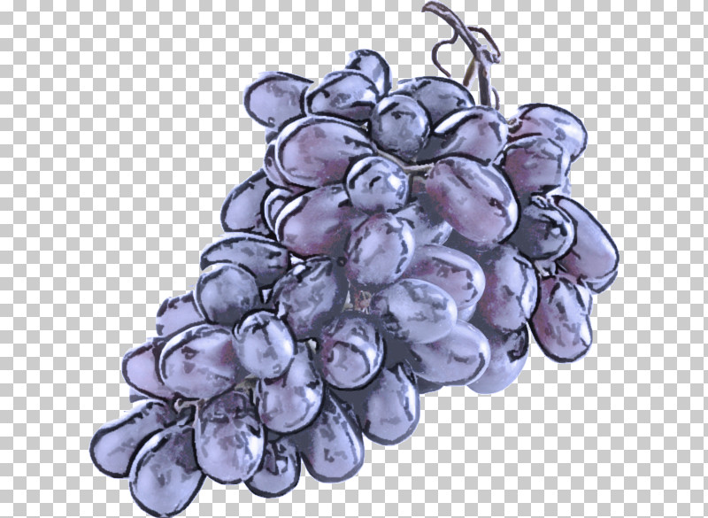 Grape Grapevine Family Vitis Fruit Seedless Fruit PNG, Clipart, Flower, Fruit, Grape, Grape Seed Extract, Grapevine Family Free PNG Download