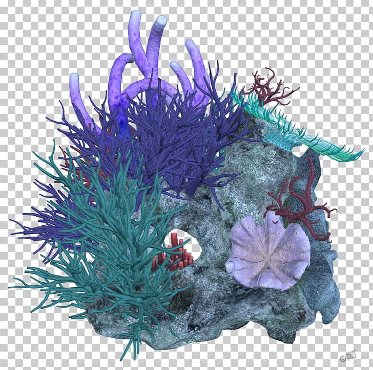 Coral Reef Deep Sea PNG, Clipart, Aquarium Decor, Christmas Ornament, Coral, Coral Reef, Deep Sea Free PNG Download