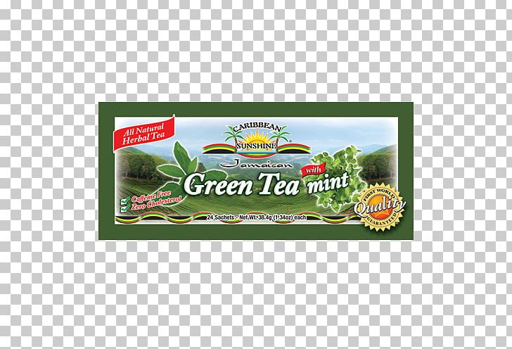 Plant Brand PNG, Clipart, Brand, Food Drinks, Grass, Herbal, Plant Free PNG Download