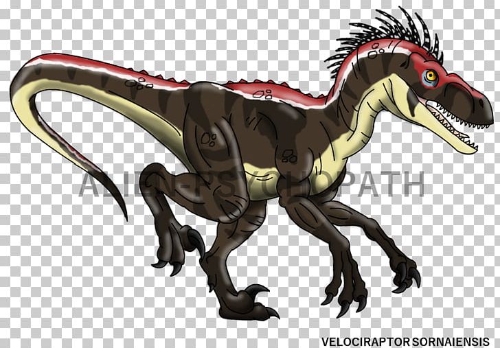 Velociraptor Tyrannosaurus Dilophosaurus Spinosaurus Utahraptor PNG, Clipart, Animal Figure, Carnivore, Dilophosaurus, Dinosaur, Drawing Free PNG Download