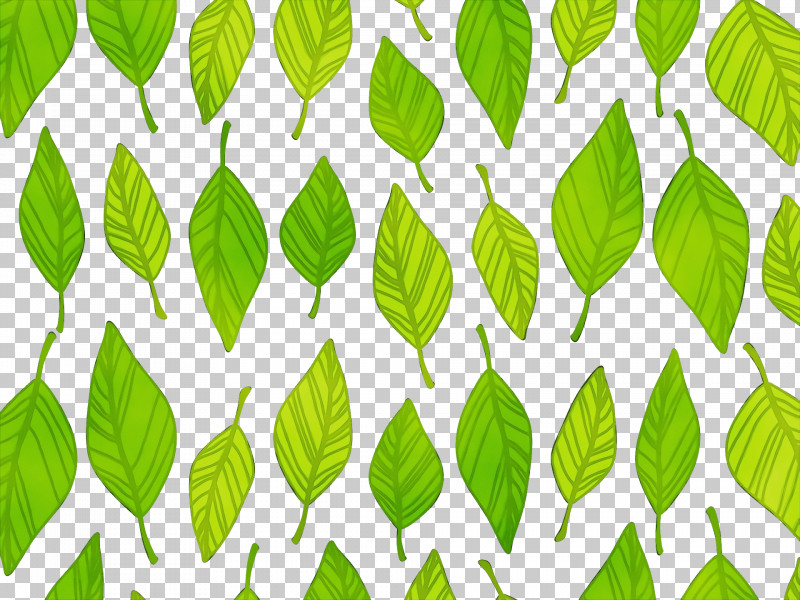Leaf Green Pattern Plant Tree PNG, Clipart, Flower, Green, Leaf, Line, Paint Free PNG Download