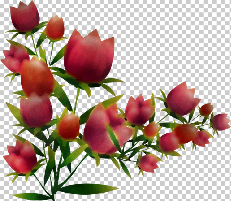 Flower Plant Petal Bud Cut Flowers PNG, Clipart, Bud, Cut Flowers, Flower, Petal, Plant Free PNG Download