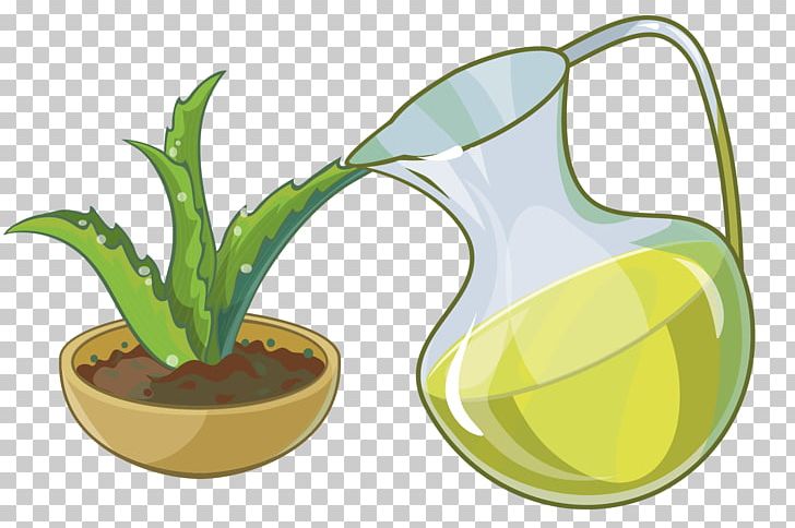 Aloe Succulent Plant PNG, Clipart, Ananas, Bromeliaceae, Cactaceae, Cactus, Cactus Cartoon Free PNG Download