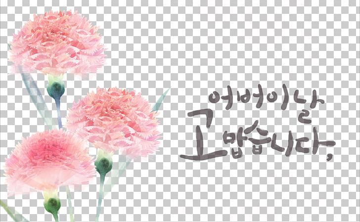 Carnation Flower PNG, Clipart, Art, Artificial Flower, Encapsulated Postscript, Floral, Floral Ornaments Free PNG Download