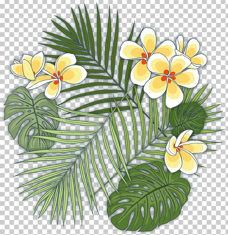 Caryota Urens Howea Forsteriana Plant Tropics PNG, Clipart, Caryota, Elements, Euclidean Vector, Flora, Floral Design Free PNG Download